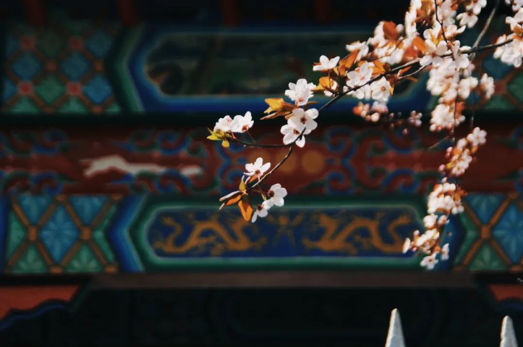 中国5000年来水平最高的20首古诗词,水平最高的中国古诗词40首高清版