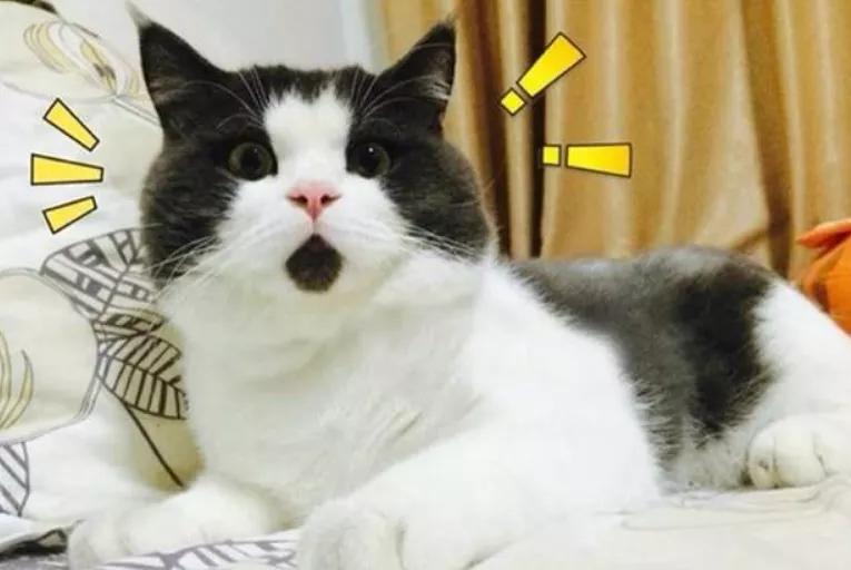 打火机试探,打火机试探煤气罐漏气