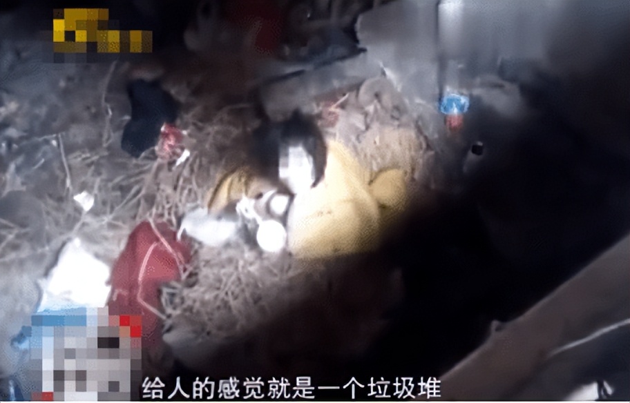 2015年湖北24岁校花被裸身囚禁，与蛇同住场面“污秽”，让人唏嘘