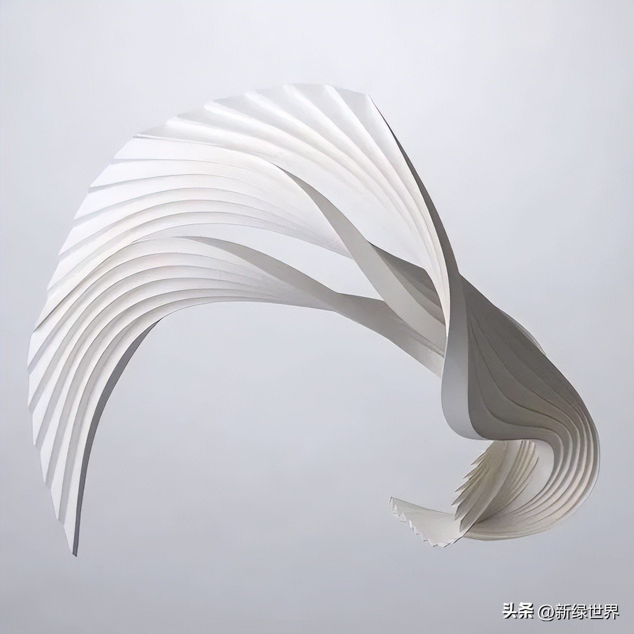 纸艺作品绘画,千变万化的纸艺术作品