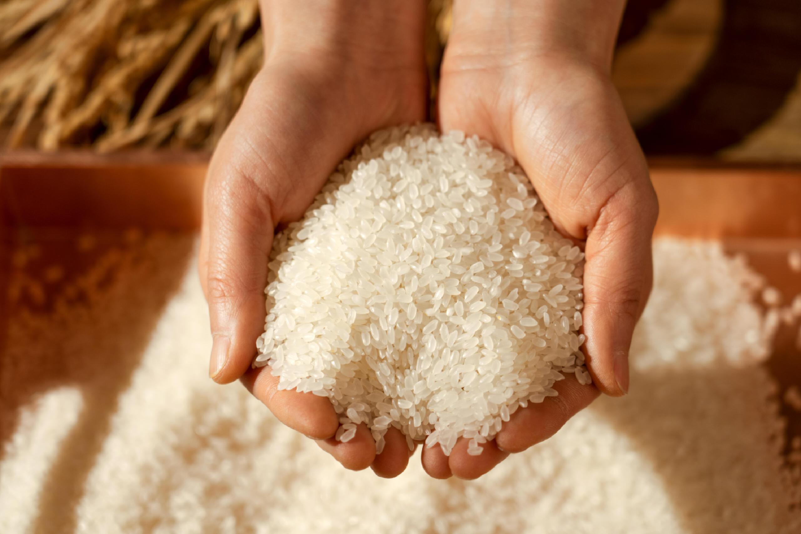 桂花香馅裹核桃,桂花香馅裹核桃江米如珠井水淘