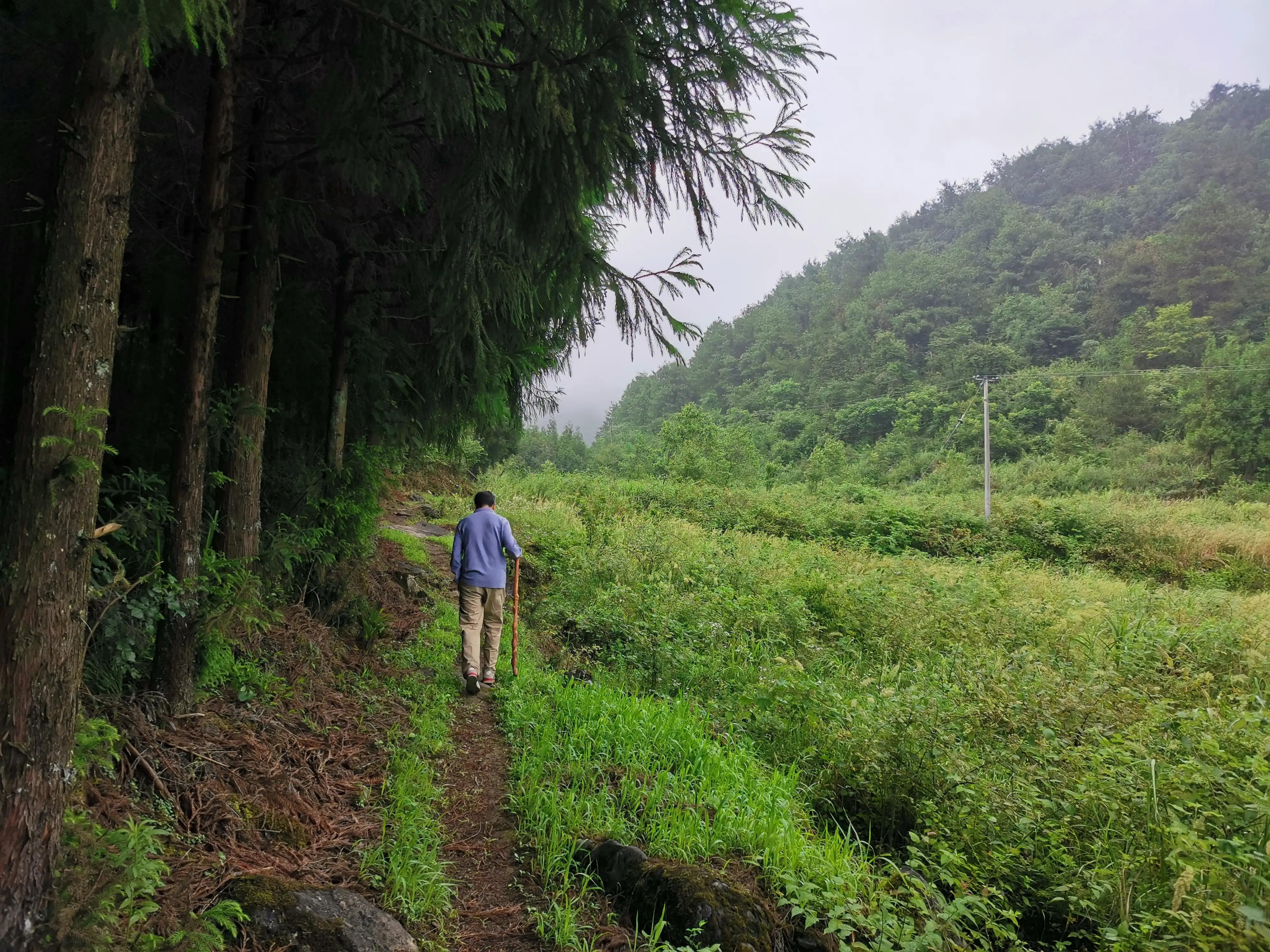 去贵州桐梓避暑哪里最好,桐梓包吃住避暑民宿