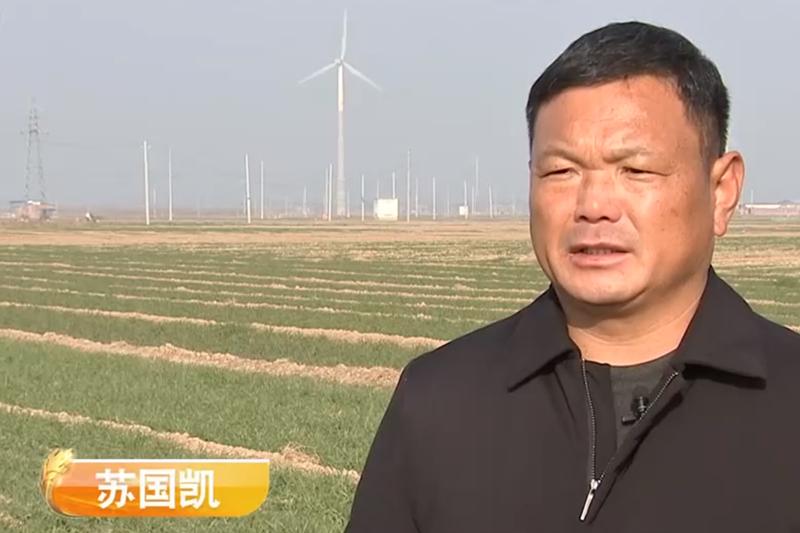 致富经苏国凯养牛,苏国凯养牛