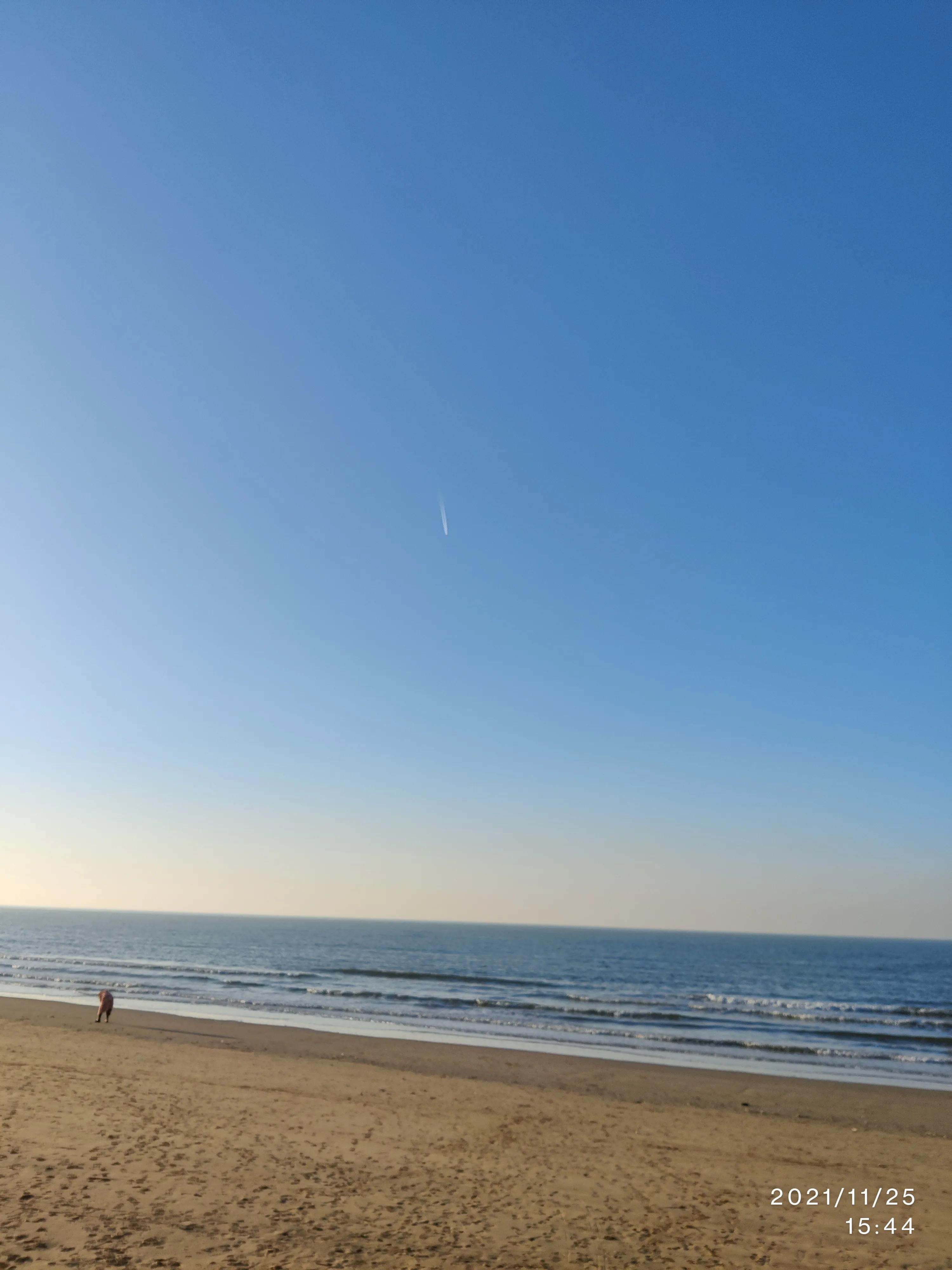 跑步计划初学者,爱好者跑步教程