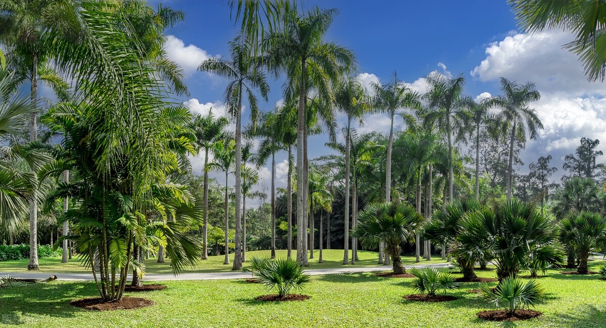 西双版纳避寒避暑的雨林仙境,西双版纳避寒度假