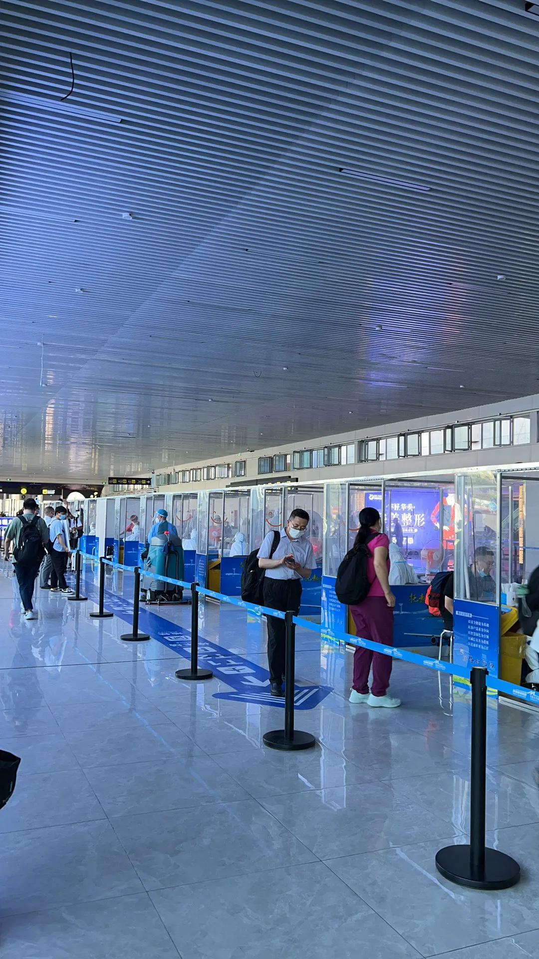 疫情下的海岛之旅,疫情下的归途完整版