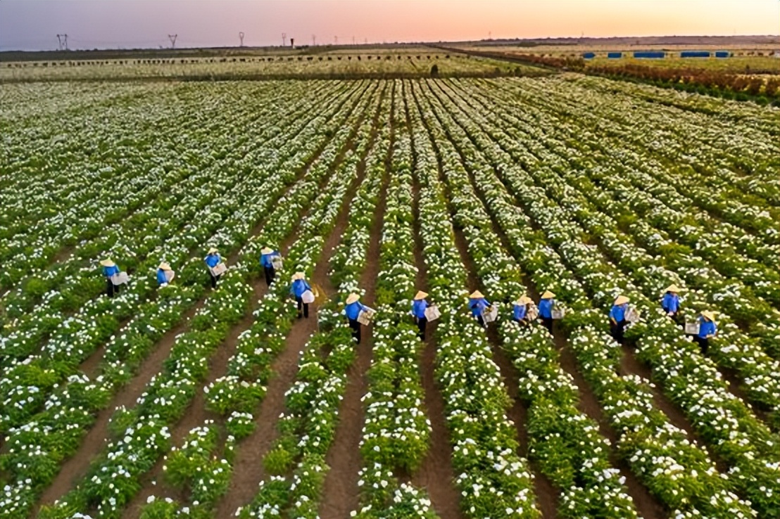 社交新零售的演变及根源,社交新零售风口已来如何应对