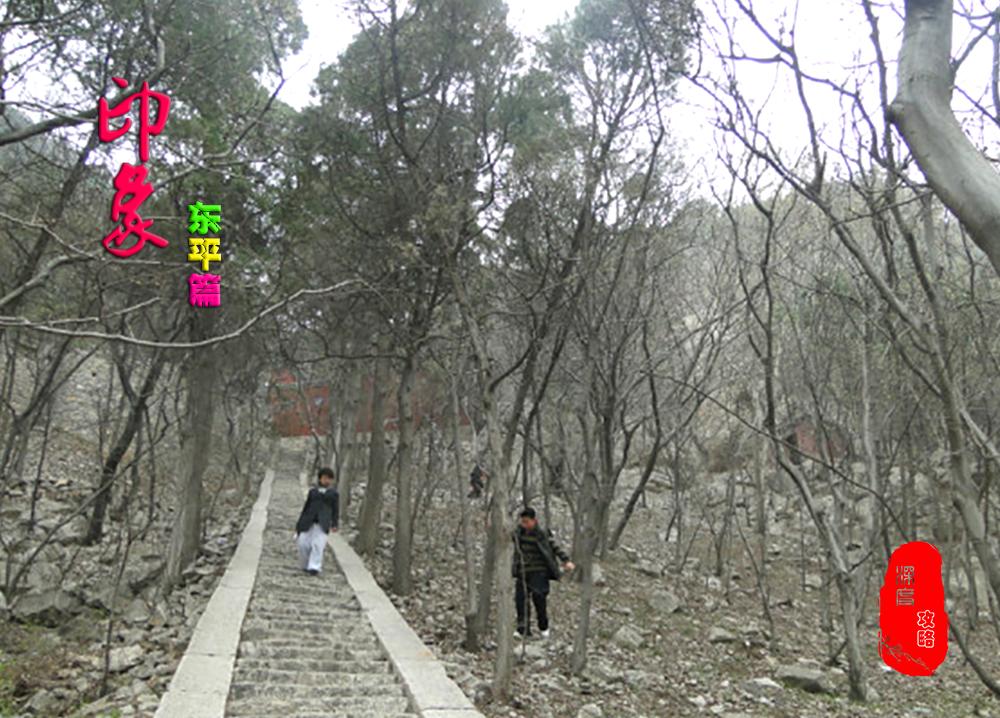 东平项羽墓,东平西楚霸王墓