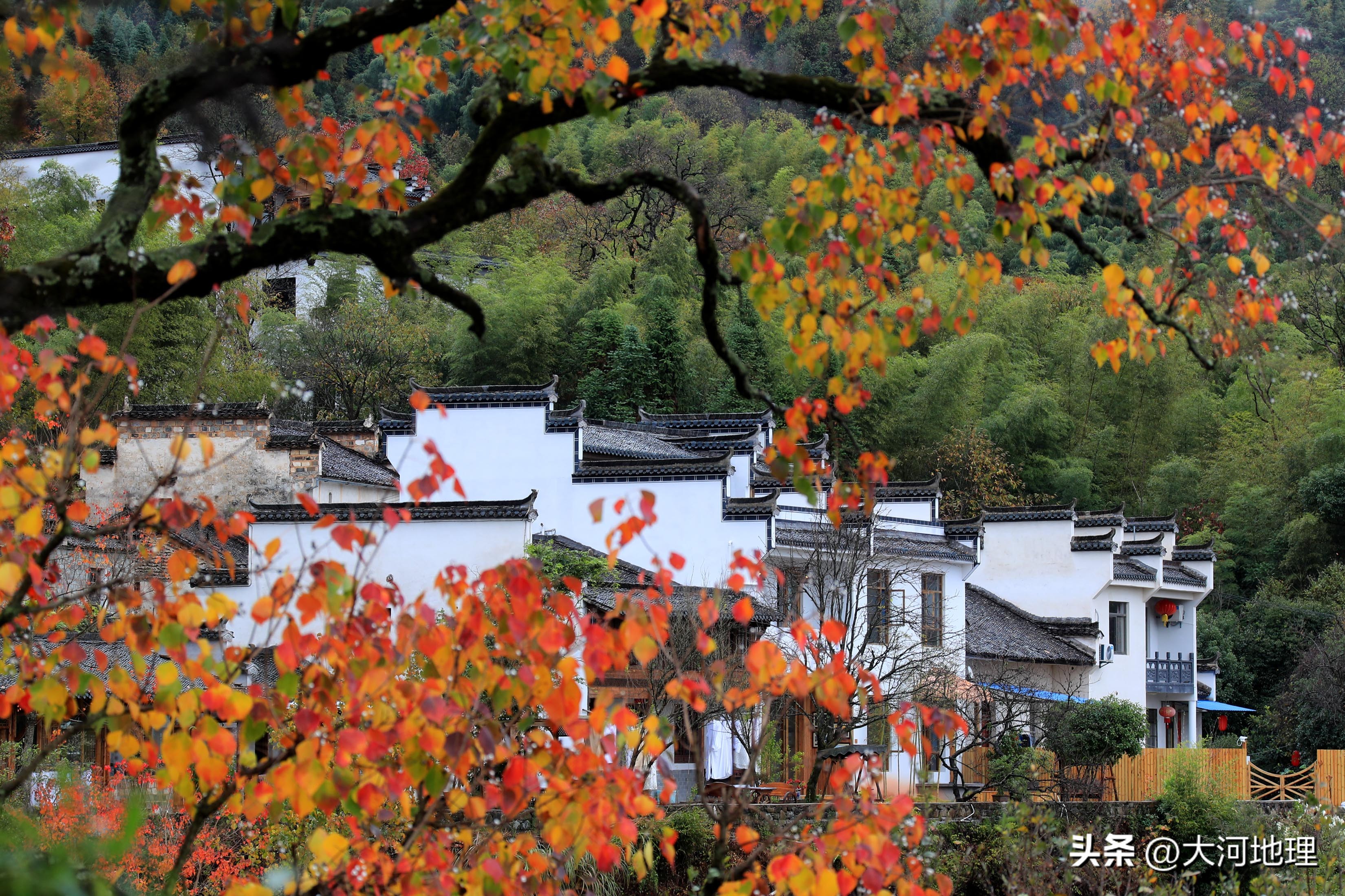 旅游攻略国内十大必去景点南方,中国南方著名景点