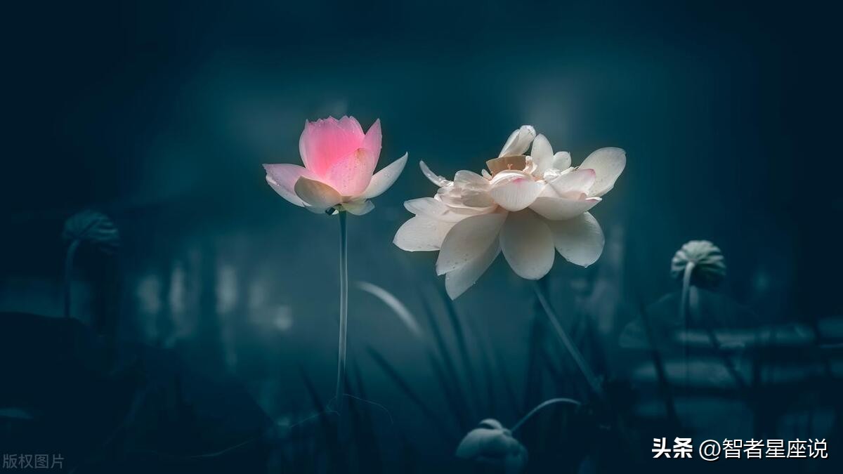 水瓶座最适合和什么星座在一起,水瓶座和哪个星座最懂水瓶座