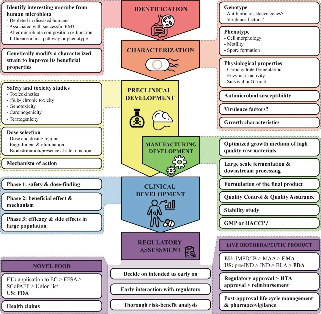 粪便微生物群移植治疗红斑狼疮,粪便微生物移植