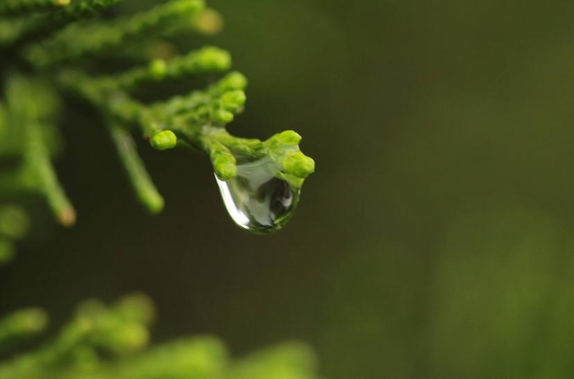 写踏青寻春的诗句,惜春寻春之意的诗词