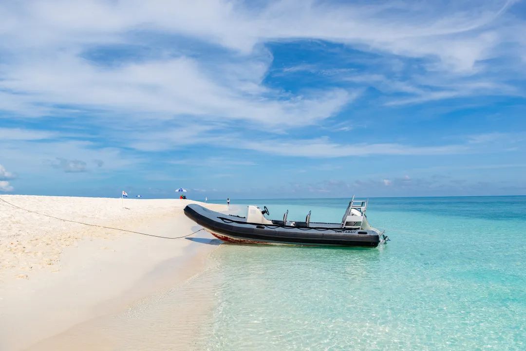 富饶的西沙群岛海底视频,西沙群岛最大岛屿是哪个