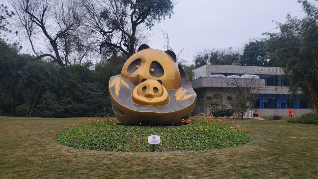 成都龙泉驿到大熊猫繁育研究基地,成都大熊猫繁育研究基地停车攻略