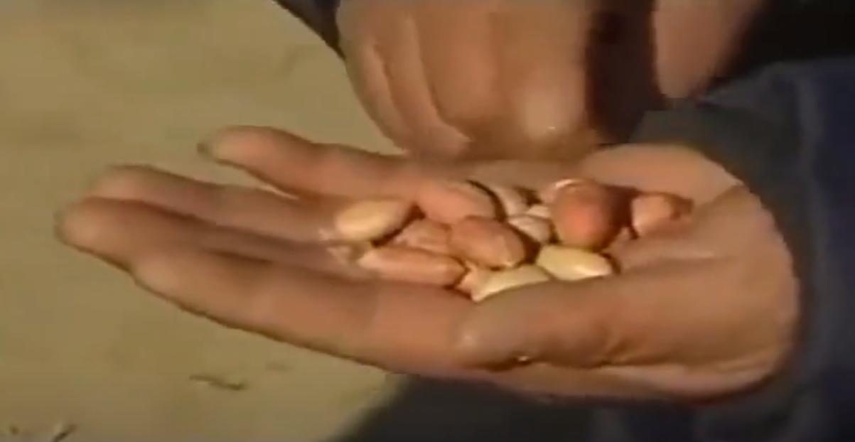 08年,河北女孩“瘫痪”卧床20年,姐姐安上监控后,戳穿多年*局骗**