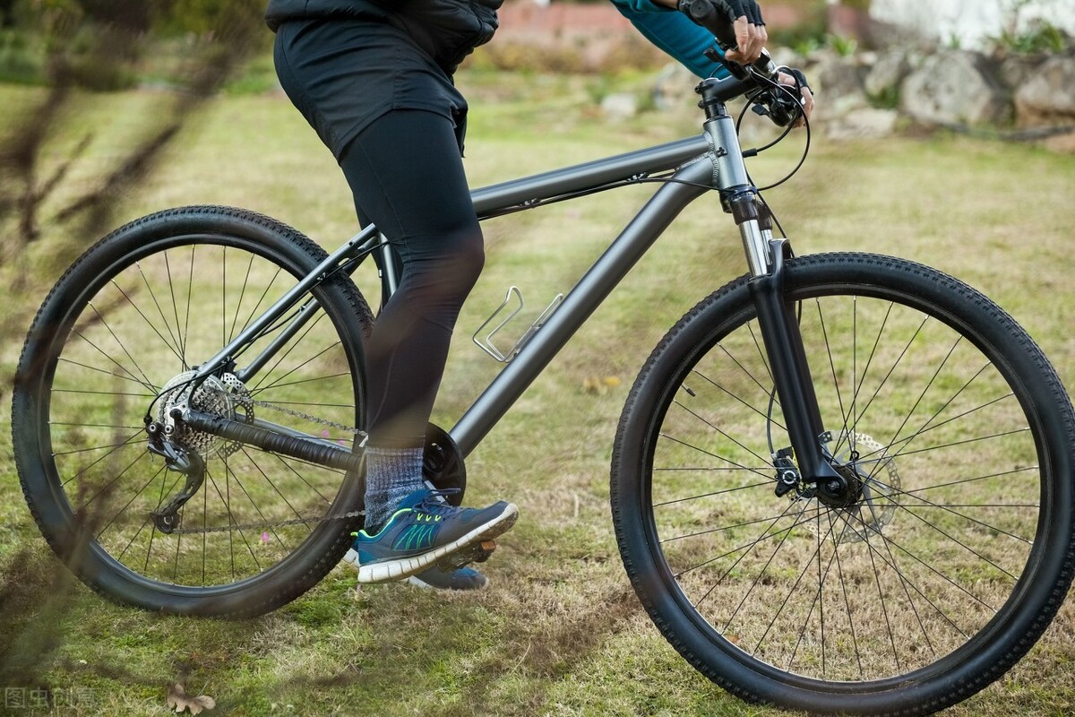 生命平衡的力量,生命在于平衡的感悟