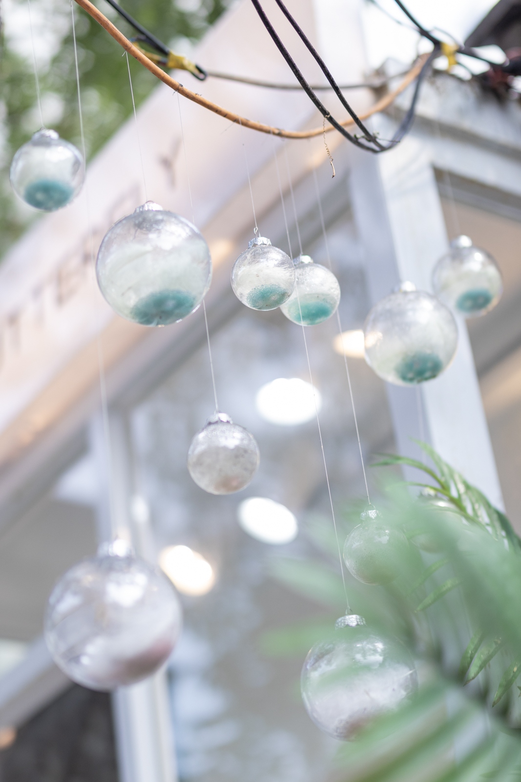 佳能eosr10实拍效果,佳能eosr10怎么样