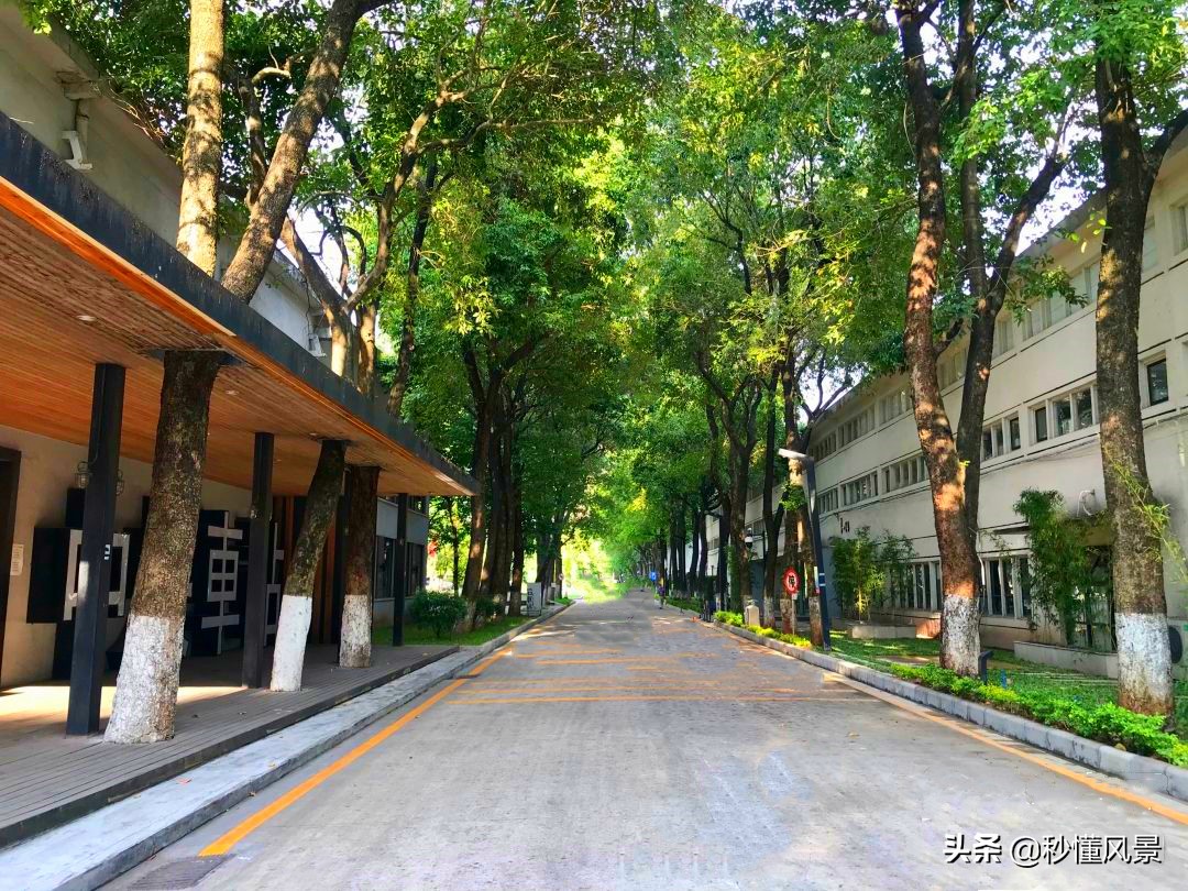 广州又一创意园走红！比红专厂人少，不要门票却很少有游客知道