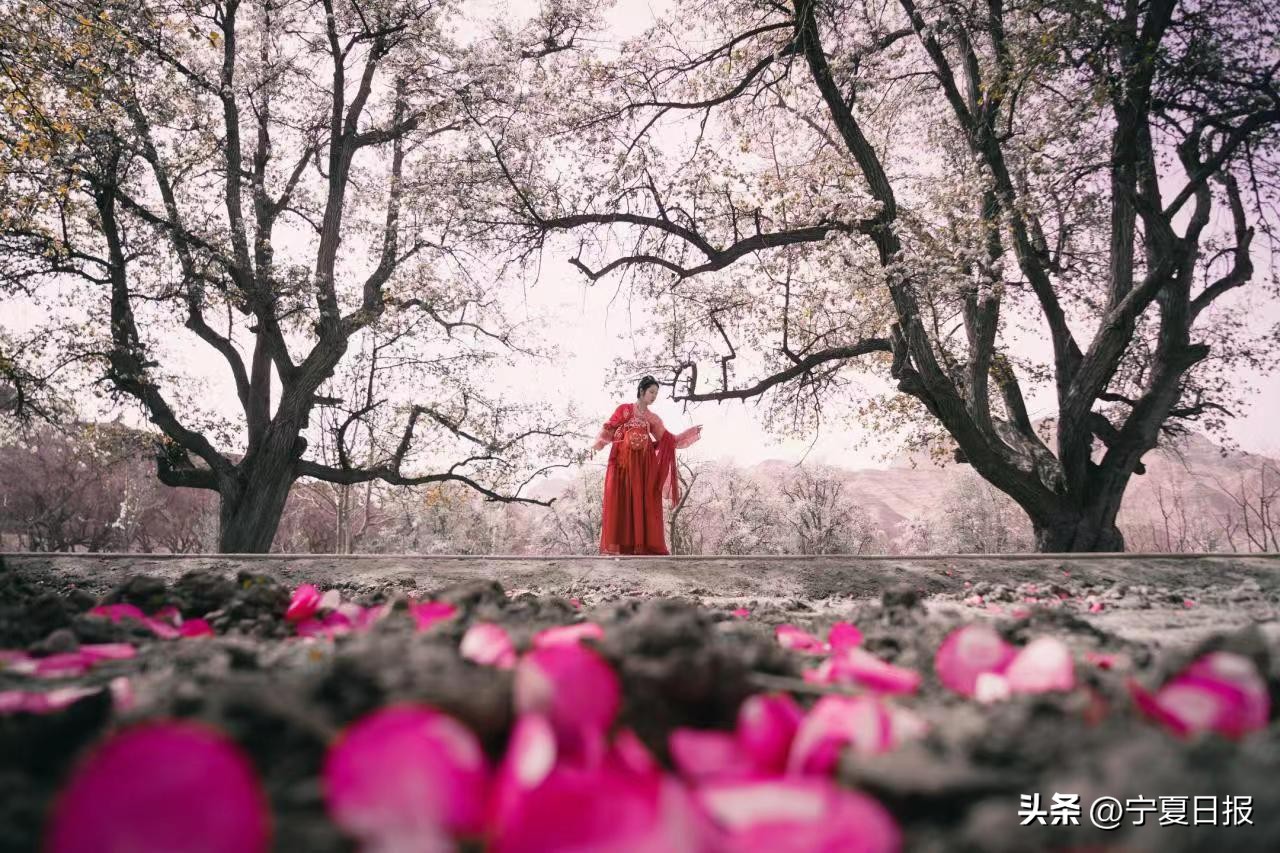 和汉服小姐姐一起坐火车,和姐妹赴汉服之约