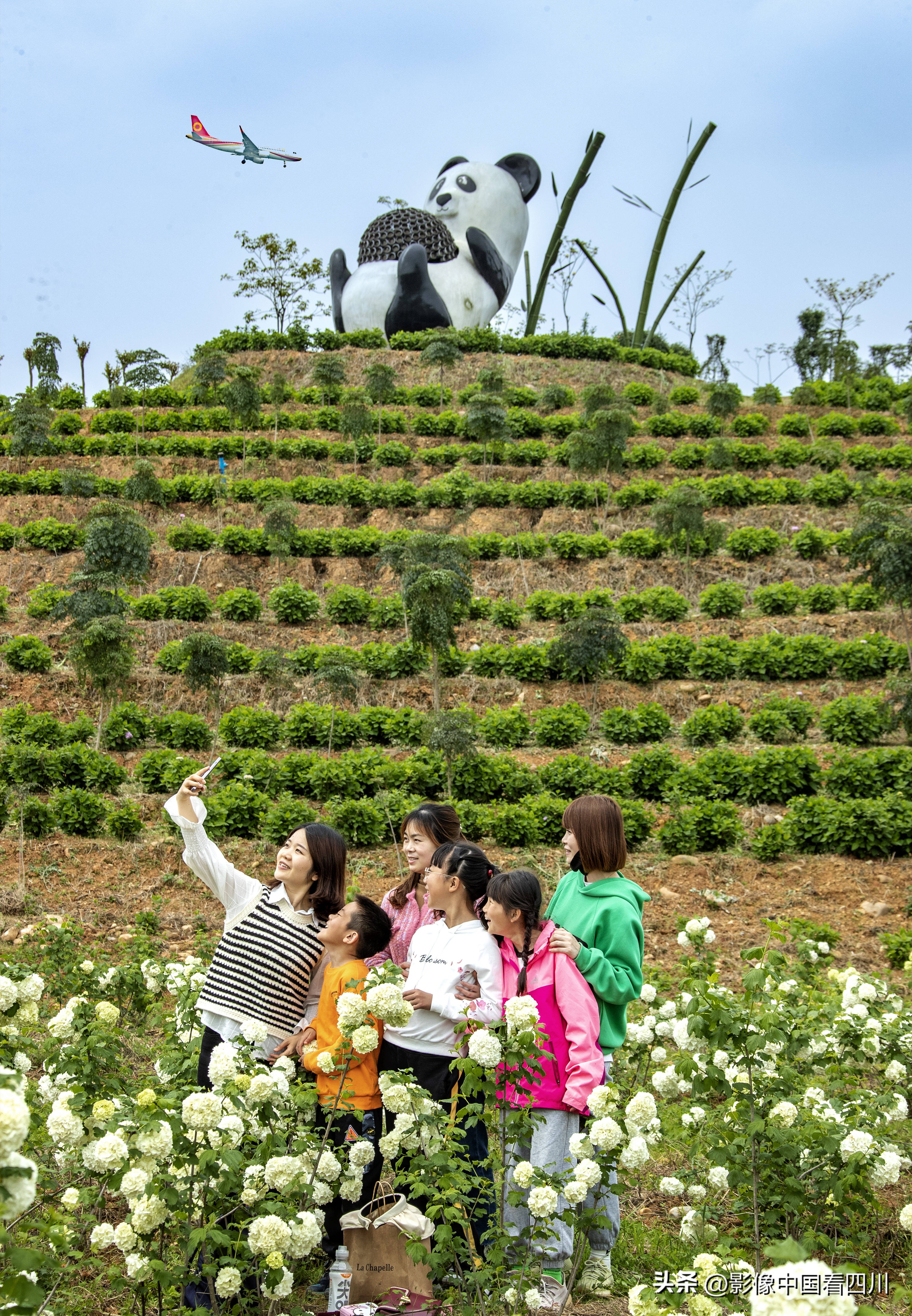 刘国兴的2022年:冬去春来,愿岁月静好(上集)