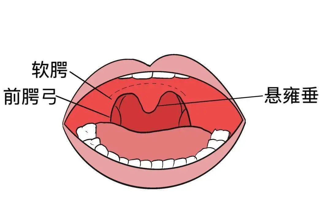 核酸检测穿脱防护服流程,穿脱防护服与核酸采集标准视频