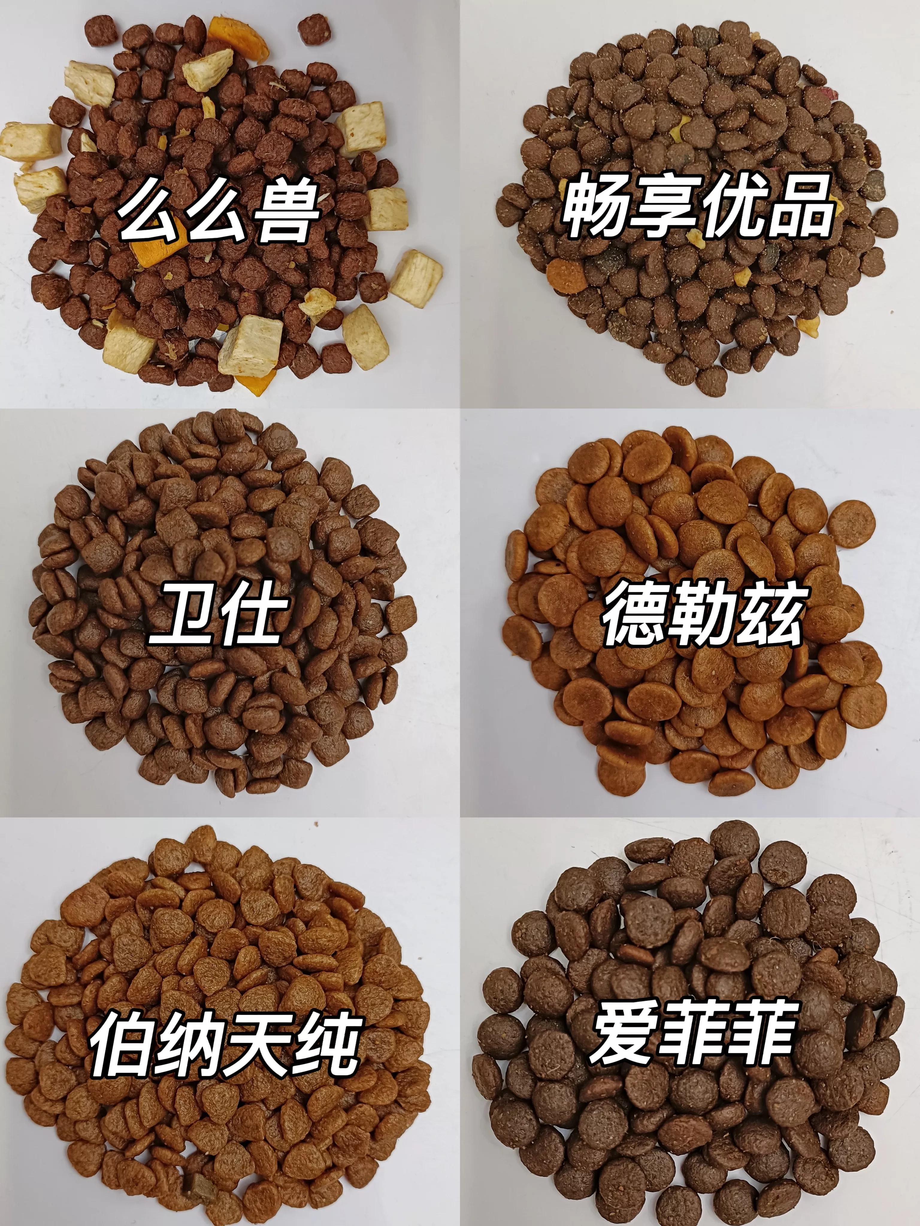 狗狗的毒狗粮,养狗狗需要知道的三种毒狗粮