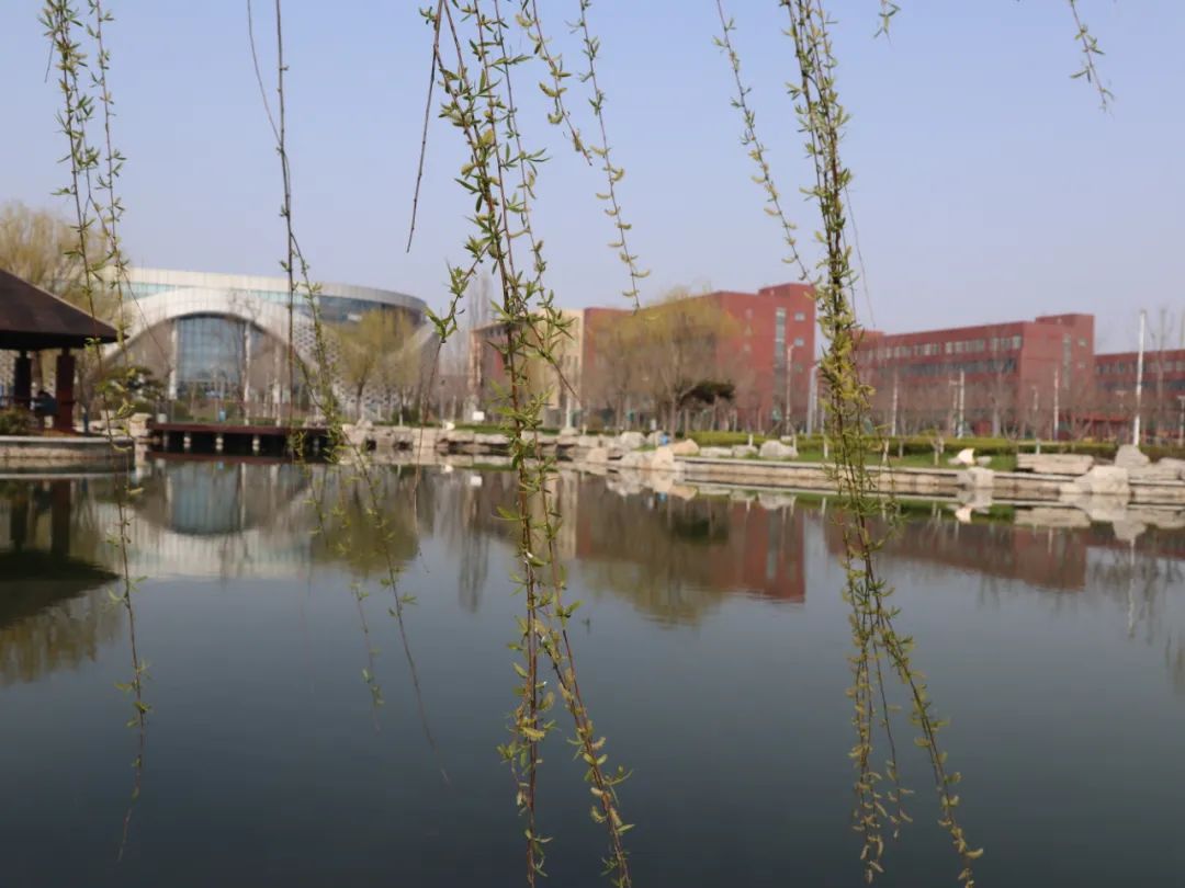 潍坊四中一等奖名单,潍坊四中是初中还是高中