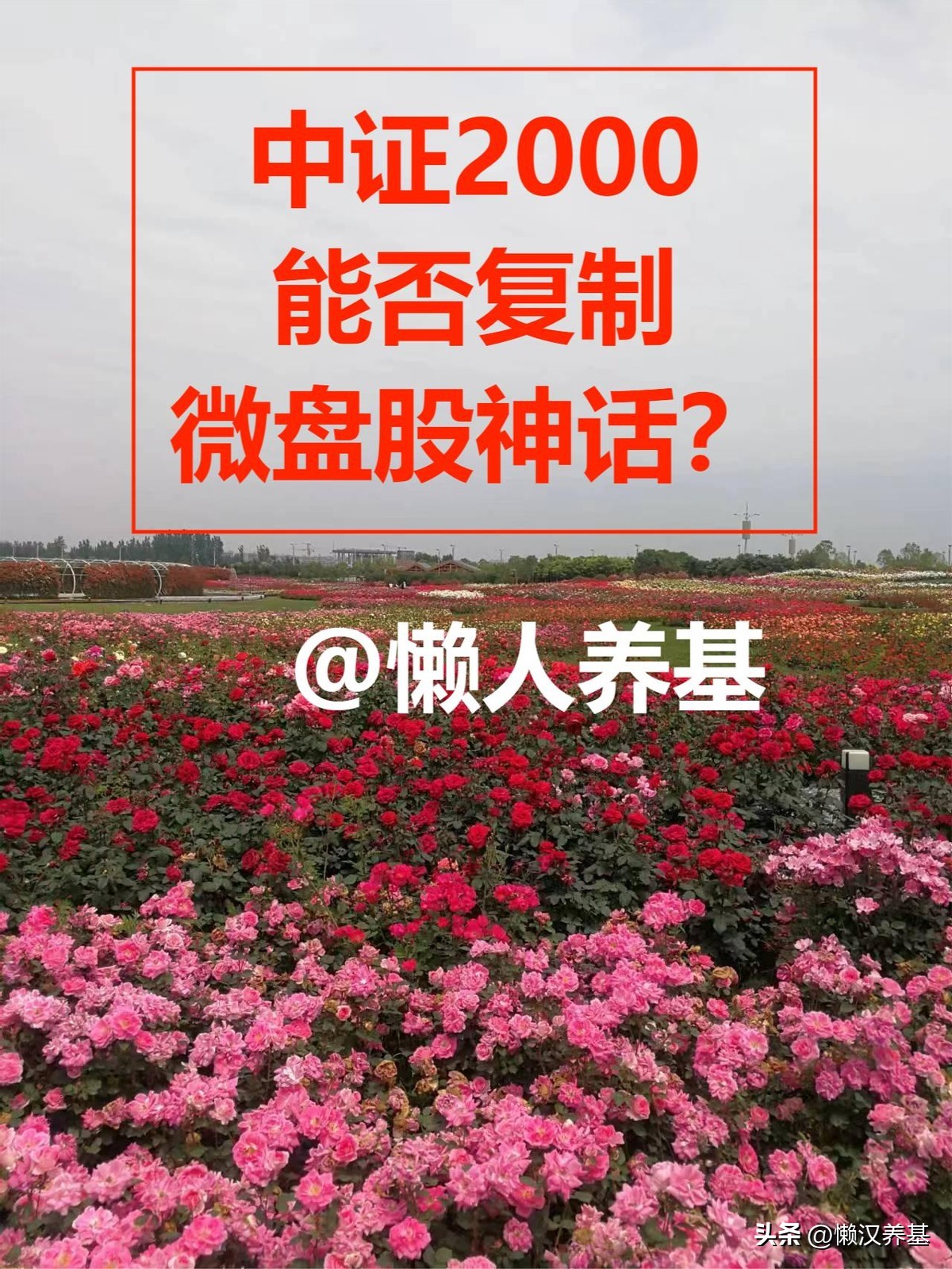 中证2000指数值得定投吗,中证2000有科创板的股票么