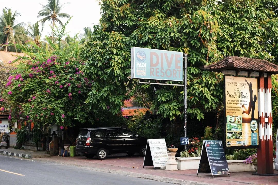 这可能是全球性价比最高的一家阿丽拉