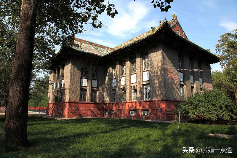 石磊，山西农业大学副教授、硕导，畜禽繁殖专家