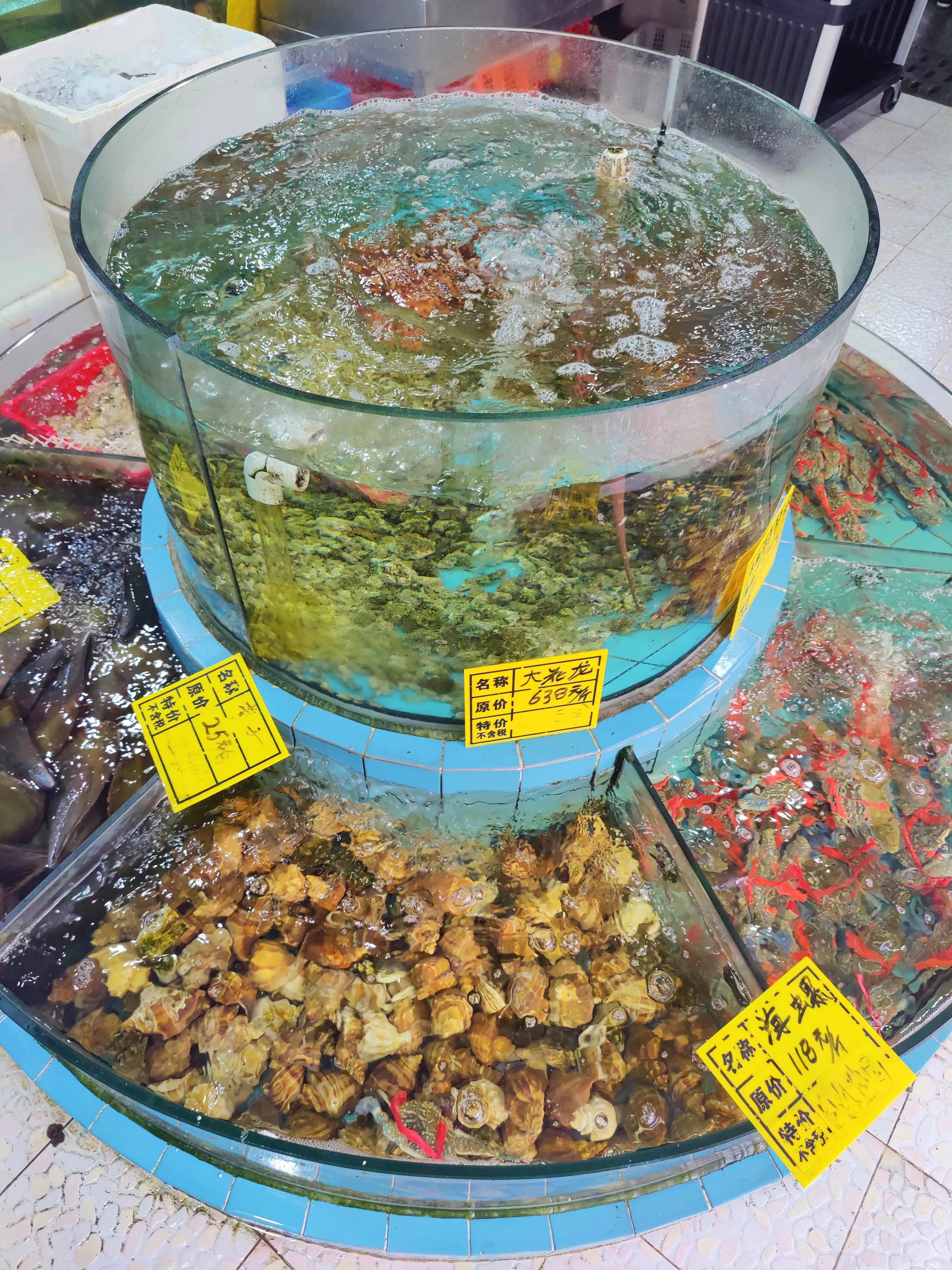 顺德杏坛农庄美食,世界美食之都顺德视频