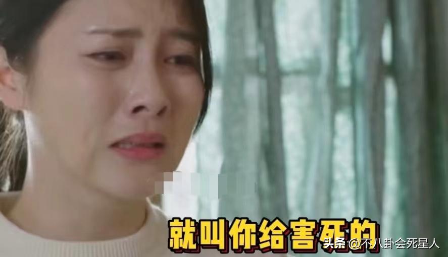 农村圣母电视剧,圣母狗血电视剧