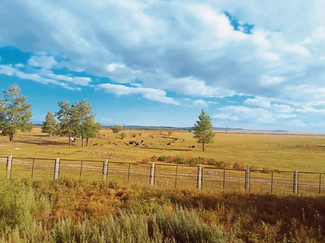 孝感火车站绿皮火车进站实录,绿皮火车实录