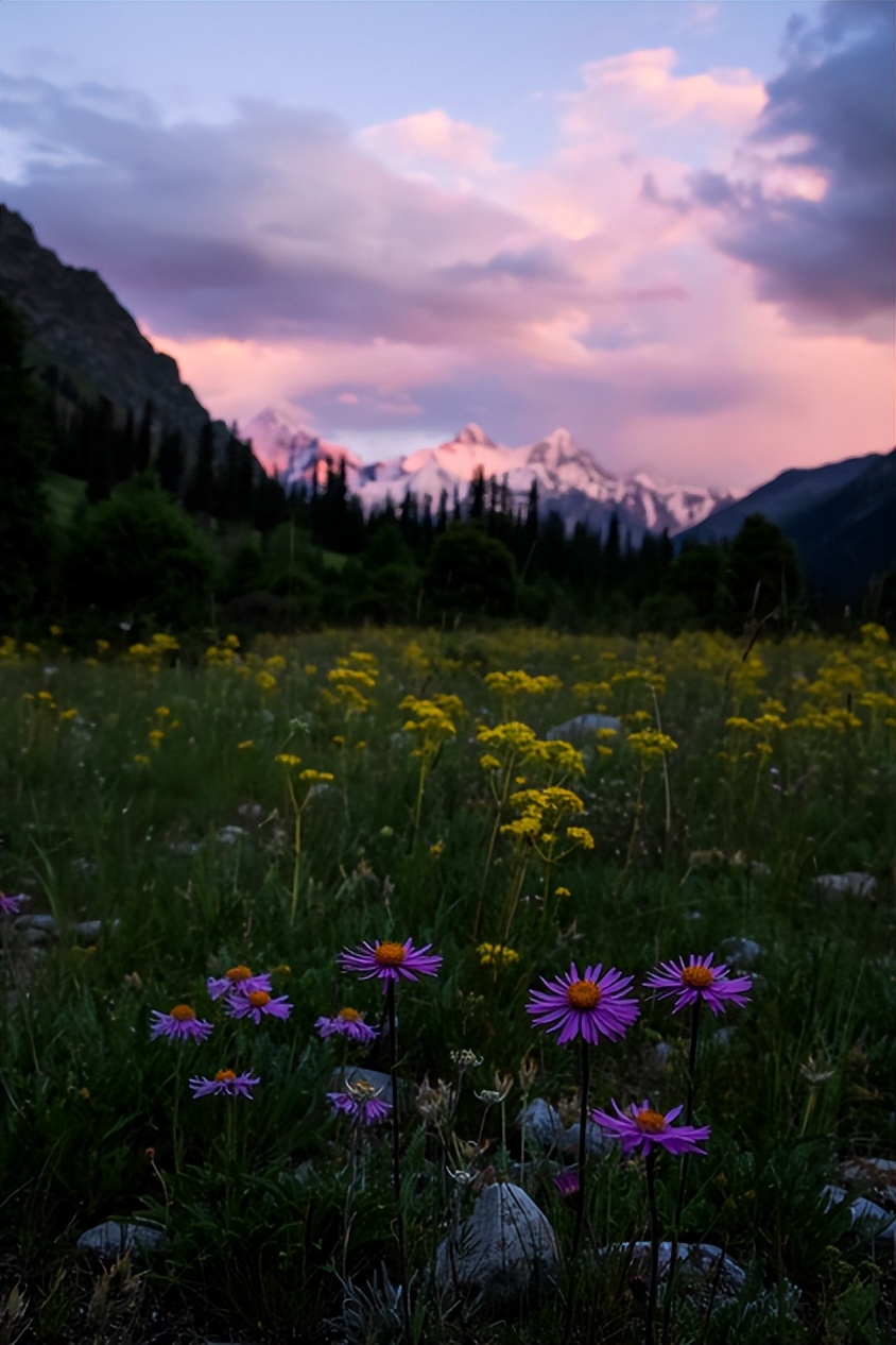 佳能eosr6markii自定义教程,eosr6markii直播设置