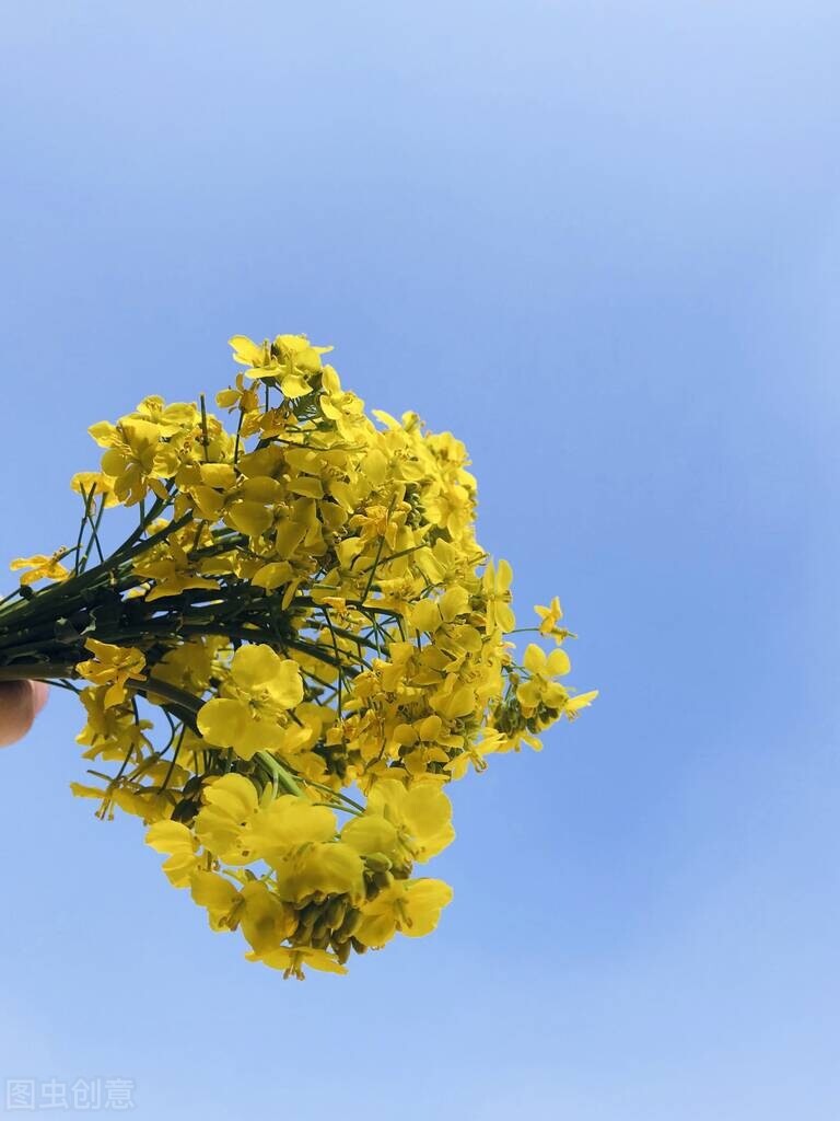 生活妙招100条,生活小妙招擦玻璃