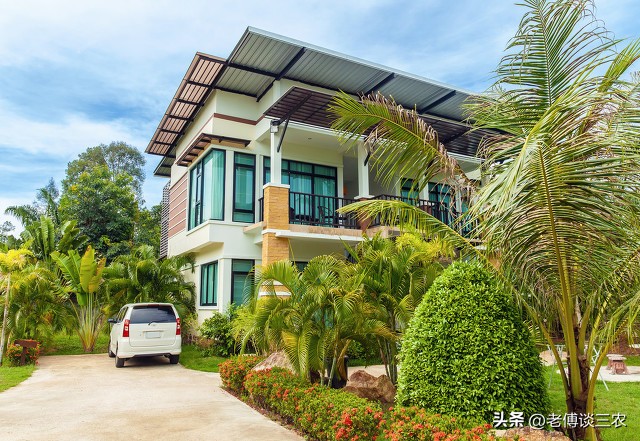 庭院经济首次被写入中央一号文件,中央一号文件庭院经济