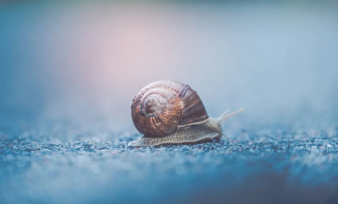 史莱姆原神进化史,史莱姆进化史是真的吗