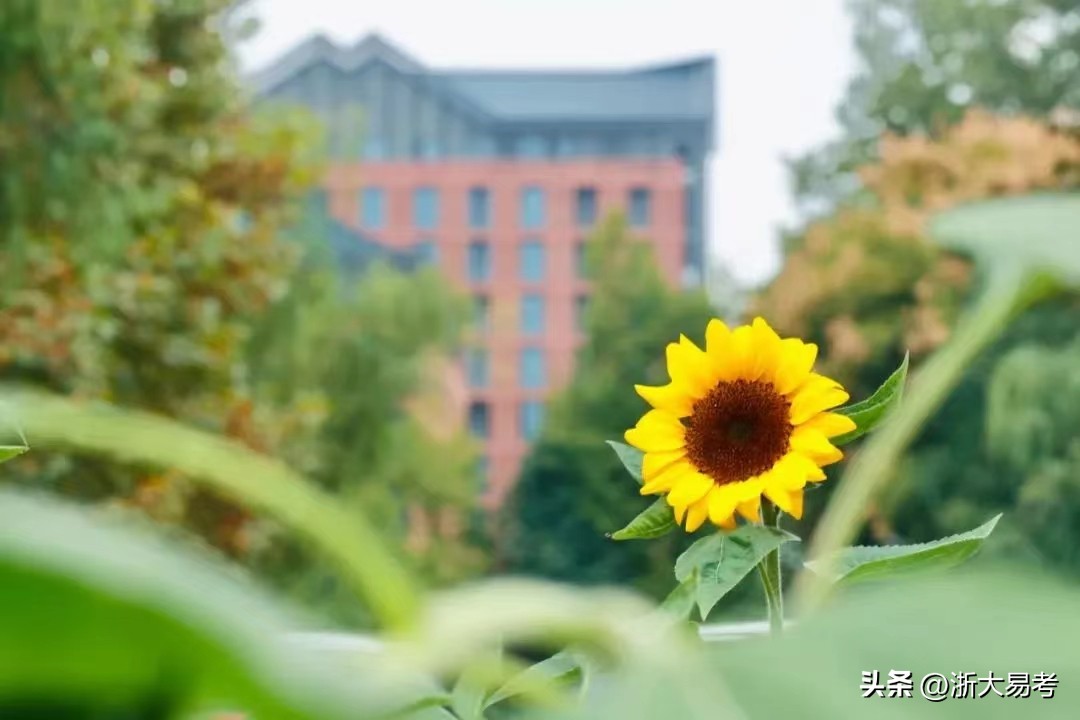 浙江mpa提前批,mpa提前批面试考试内容