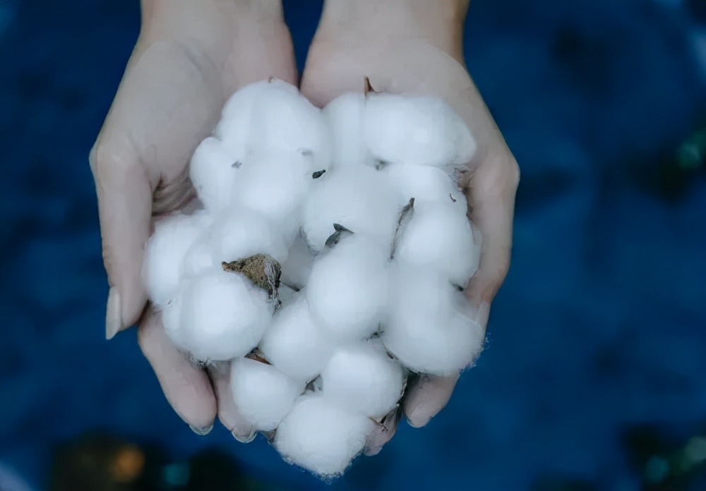 纯棉床品为什么这么贵,好的床品和便宜的床品差别