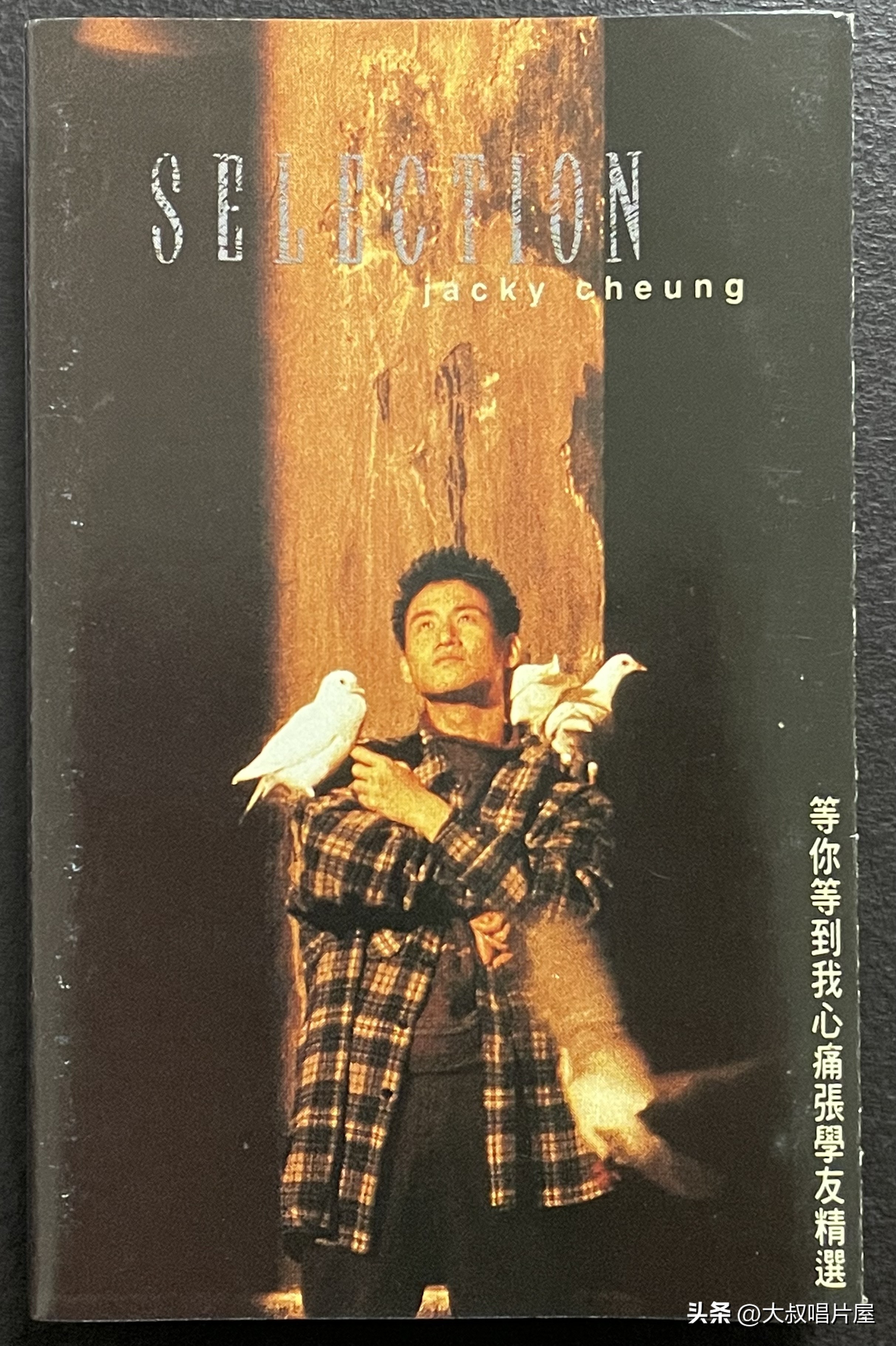 1993年最流行的经典歌曲,1993年最火的50首流行歌