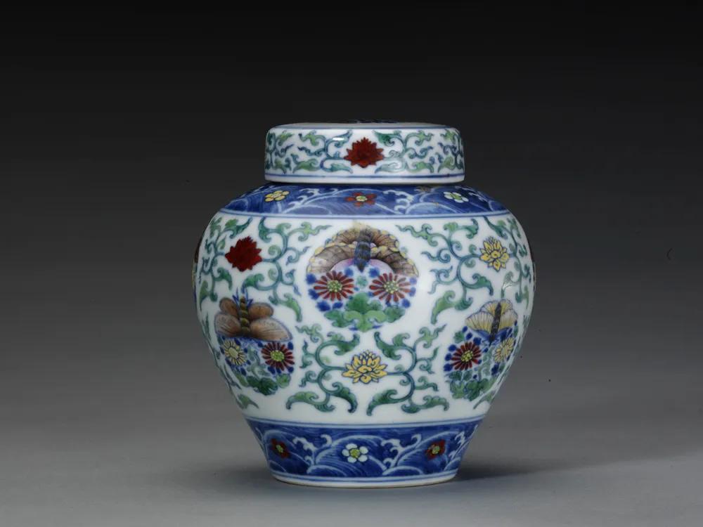 每种蝴蝶的寓意和象征,院里飞来一只黑花蝴蝶什么寓意