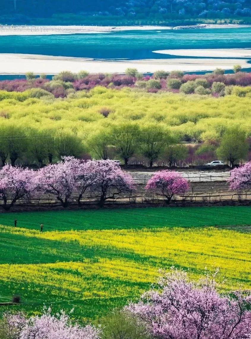 西北十大旅行攻略,西藏自驾游一日游攻略