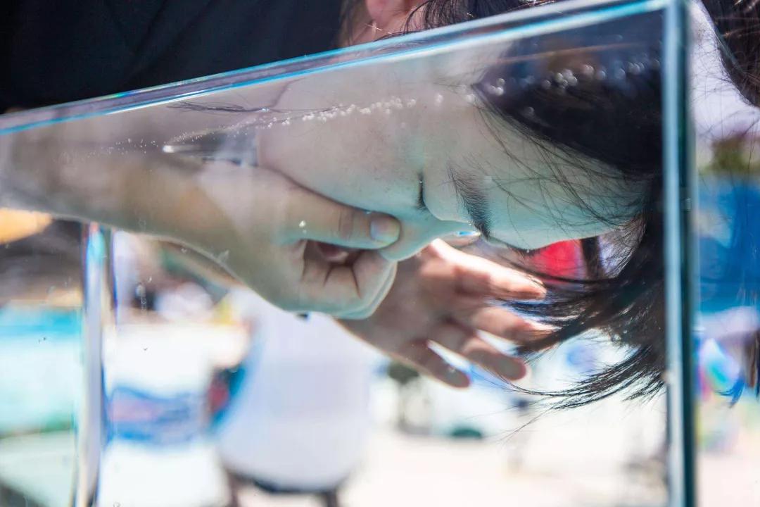 体育小知识动画,体育小知识科普10分钟