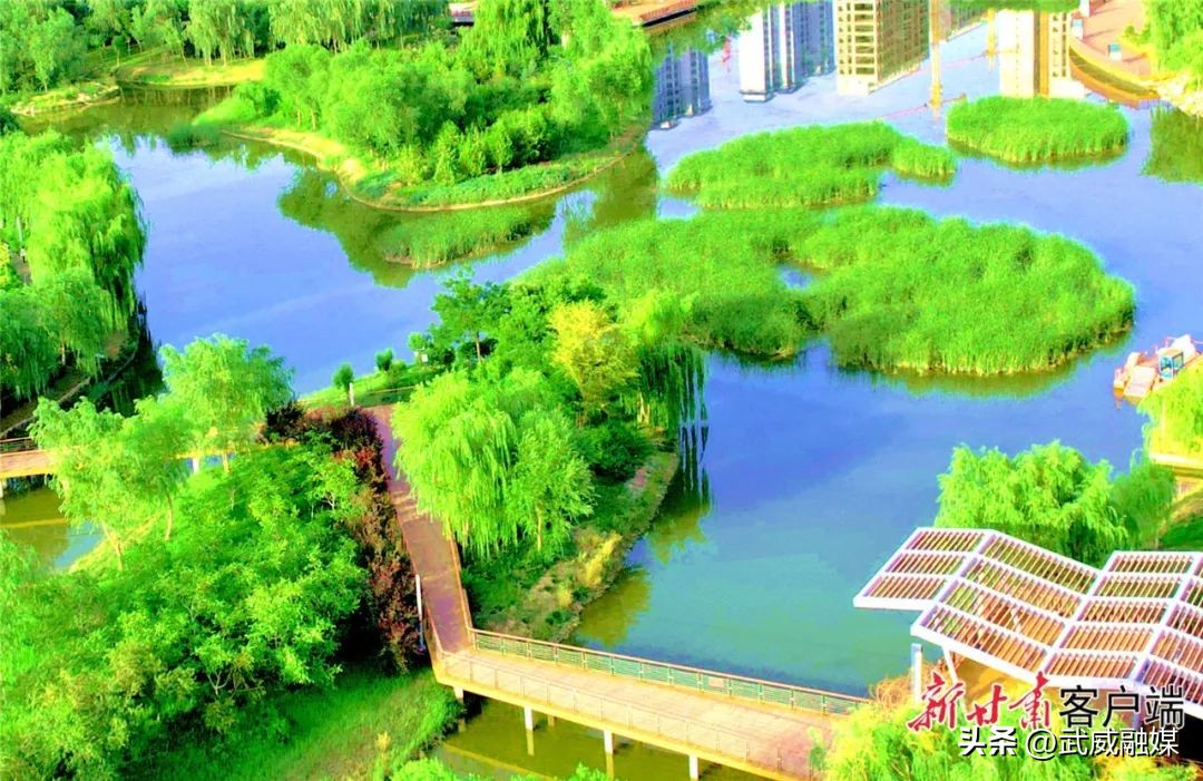 重要通告速看视频,重要通知速看全文