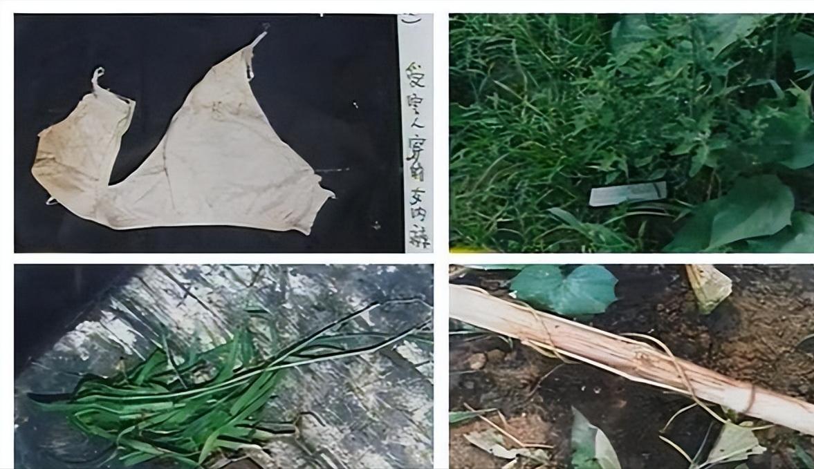 2名女子裸死菜地，*体下**塞满荒草，警方靠米糠袋抓获凶手