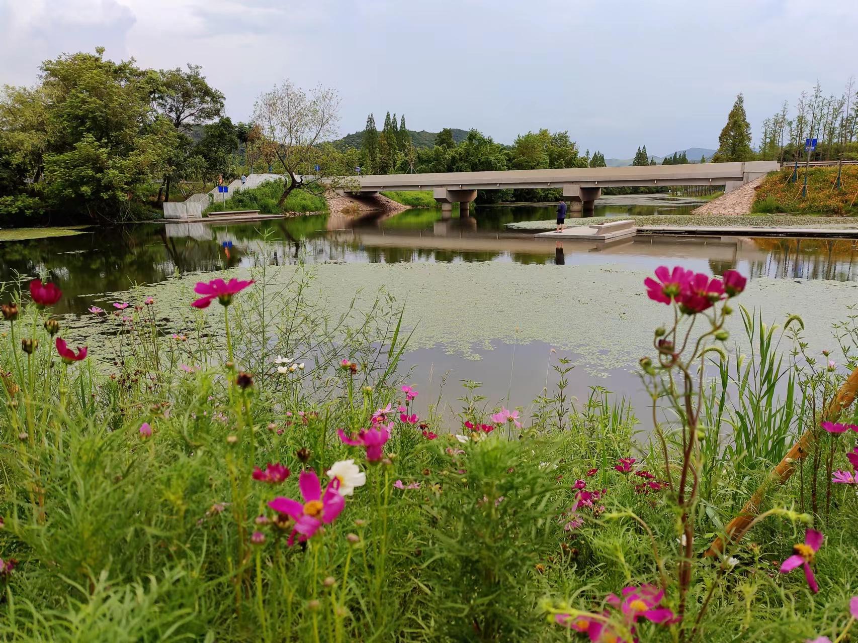 西塞山前白鹭飞图文,西塞山前白鹭飞风景