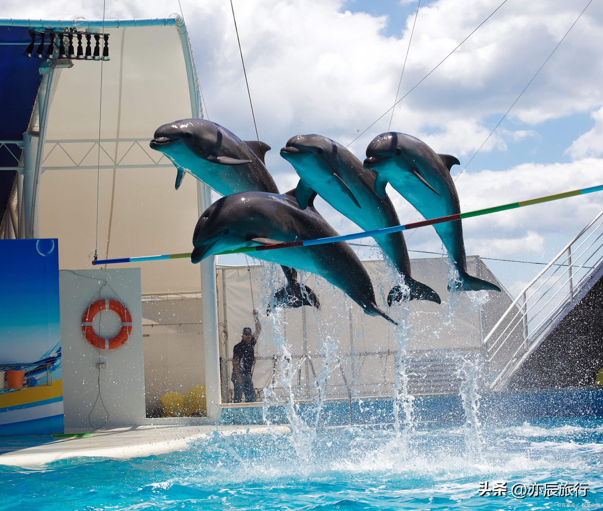 青岛旅游攻略周边旅游景点,现在青岛旅游十大必去景点海边
