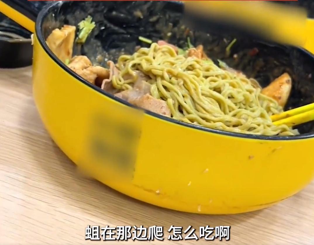 麻辣烫碗边爬满虫,门店回应麻辣烫碗边爬满蛆虫
