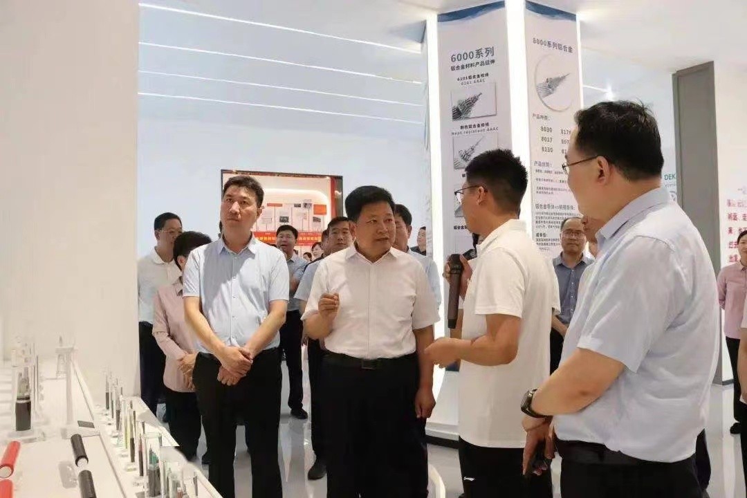 参观新能源储能项目,参观考察电气公司