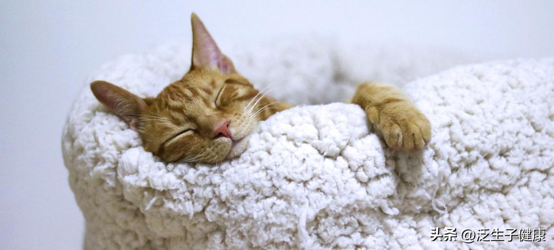 身体的狂欢!别不好意思,试一试你一定会心动